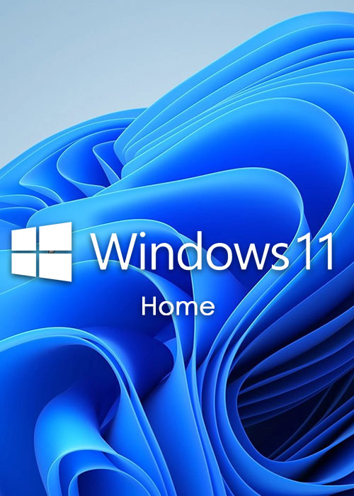 MS Win 11 Home OEM GLOBAL KEY