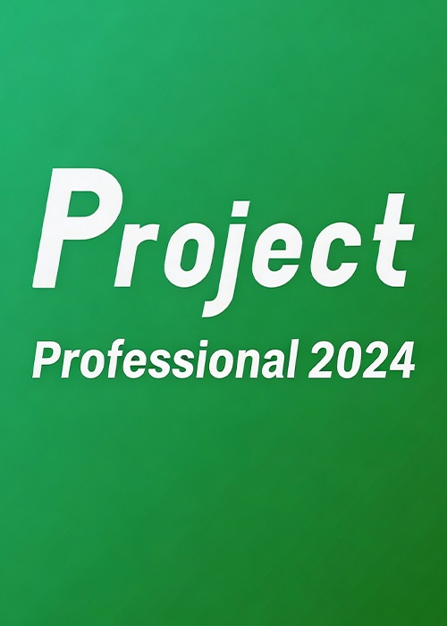Project Professional 2024 Key Global